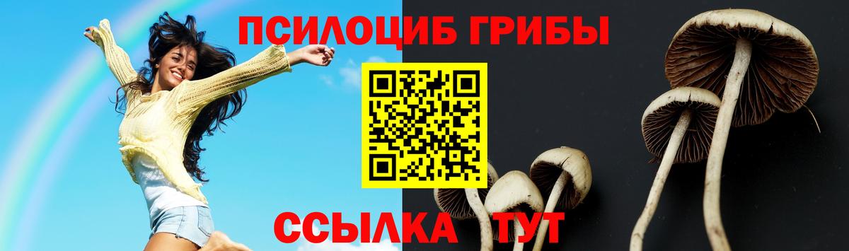 Псилоцибиновые грибы прущие грибы  Галлюциногенные грибы мицелий  Заволжье  Вход с VPN 